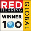 Red Herring Top 100 Global Award: language translator, professional translation